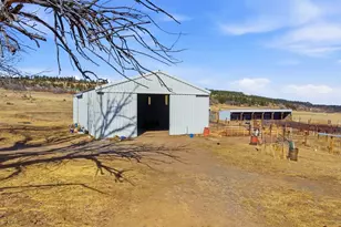 10113 Trout Farm Rd, Rye, CO 81069 - Photo 12