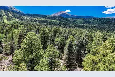 79 Terraza Abajo, Westcliffe, CO 81252 - Photo 38