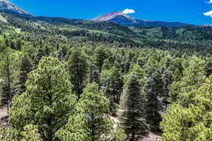 79 Terraza Abajo, Westcliffe, CO 81252 - Photo 38