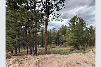 741 Junkins Loop, Westcliffe, CO 81252 - Photo 6