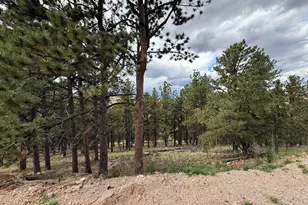 741 Junkins Loop, Westcliffe, CO 81252 - Photo 6