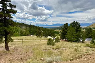 741 Junkins Loop, Westcliffe, CO 81252 - Photo 4