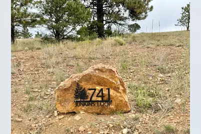 741 Junkins Loop, Westcliffe, CO 81252 - Photo 2