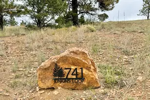 741 Junkins Loop, Westcliffe, CO 81252 - Photo 2