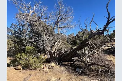 668 La Deora Blvd, Walsenburg, CO 81089 - Photo 8