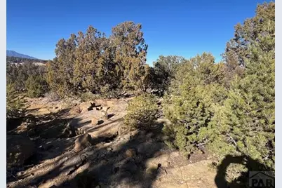 668 La Deora Blvd, Walsenburg, CO 81089 - Photo 10