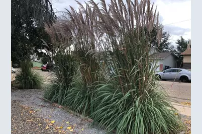 2690 Sherwood Lane, Pueblo, CO 81005 - Photo 2