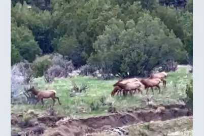 7559 Soda Creek Rd, Pueblo, CO 81023 - Photo 40