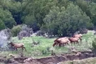 7559 Soda Creek Rd, Pueblo, CO 81023 - Photo 40