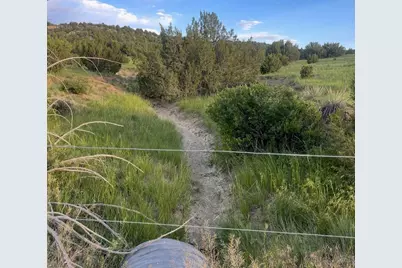 7559 Soda Creek Rd, Pueblo, CO 81023 - Photo 46