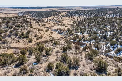 Lot 102 Ghost River Ranch, Rye, CO 81089 - Photo 22