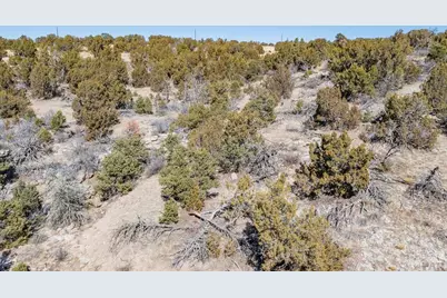 Lot 102 Ghost River Ranch, Rye, CO 81089 - Photo 46