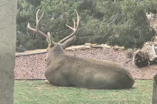 449 S Siesta Ln, Pueblo West, CO 81007 - Photo 86