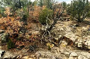 3115 Canyon Heights Rd, Pueblo, CO 81005 - Photo 44