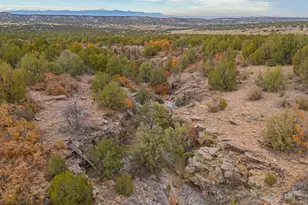 3115 Canyon Heights Rd, Pueblo, CO 81005 - Photo 36