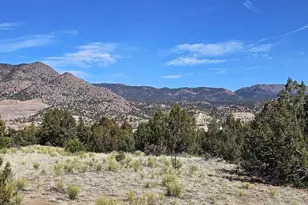 1783 Meadowdale Ln, Canon City, CO 81212 - Photo 38