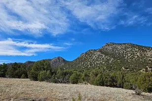 1783 Meadowdale Ln, Canon City, CO 81212 - Photo 36