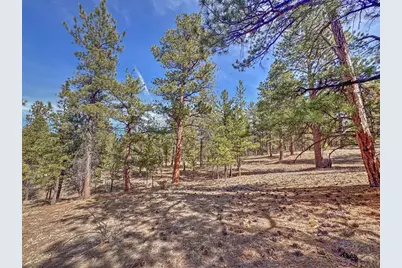426 Arapaho Rd, Westcliffe, CO 81252 - Photo 20