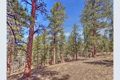 426 Arapaho Rd, Westcliffe, CO 81252 - Photo 14