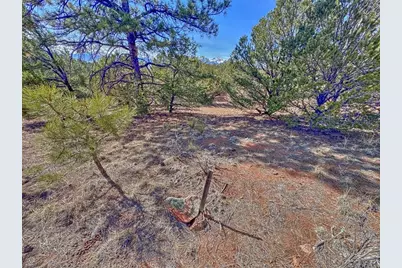 426 Arapaho Rd, Westcliffe, CO 81252 - Photo 4