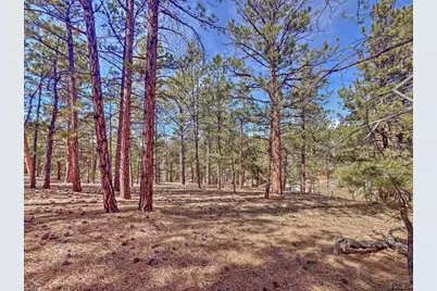 426 Arapaho Rd, Westcliffe, CO 81252 - Photo 16