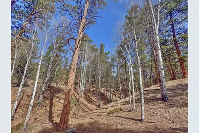 426 Arapaho Rd, Westcliffe, CO 81252 - Photo 24