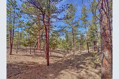 426 Arapaho Rd, Westcliffe, CO 81252 - Photo 18