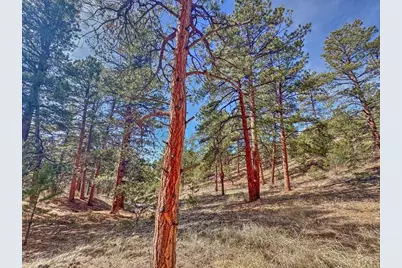 426 Arapaho Rd, Westcliffe, CO 81252 - Photo 22