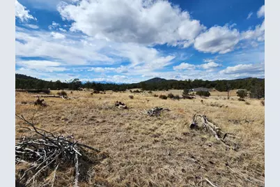 117 Pinon Ln, Cotopaxi, CO 81223 - Photo 1