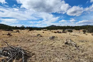 117 Pinon Ln, Cotopaxi, CO 81223 - Photo 1