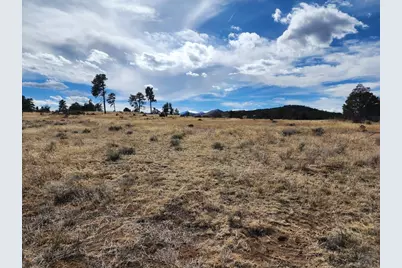 117 Pinon Ln, Cotopaxi, CO 81223 - Photo 6