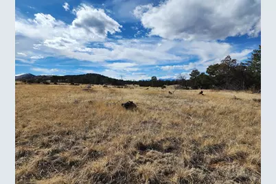 117 Pinon Ln, Cotopaxi, CO 81223 - Photo 2