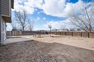 6302 Bearcat Loop, Colorado Springs, CO 80925 - Photo 36