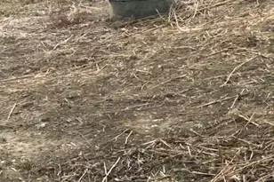 3200 Langdon Rd, Pueblo, CO 81001 - Photo 38