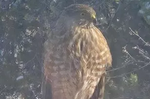 3681 Co Rd 510, Walsenburg, CO 81089 - Photo 32