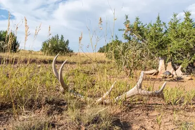 80 Moose Trail, Walsenburg, CO 81089 - Photo 46