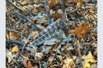 Tbd County Rd 572, Gardner, CO 81040 - Photo 4