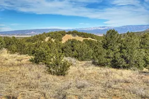 Tbd County Rd 572, Gardner, CO 81040 - Photo 1