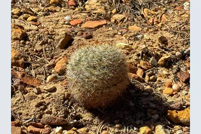 Tbd County Rd 572, Gardner, CO 81040 - Photo 10