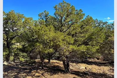 Tbd County Rd 572, Gardner, CO 81040 - Photo 6