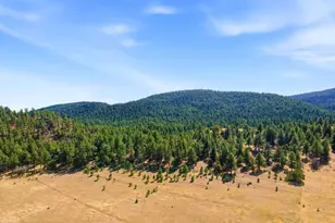 3951 Northcreek Rd, Beulah, CO 81023 - Photo 58