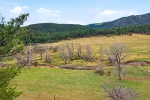 3951 Northcreek Rd, Beulah, CO 81023 - Photo 62