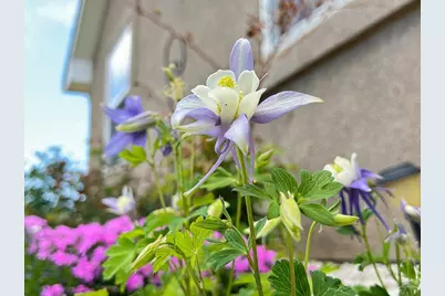 439 N Mitford Dr, Pueblo West, CO 81007 - Photo 40