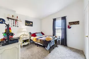 699 Cedar Hills, Penrose, CO 81240 - Photo 28