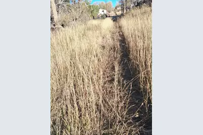 Tbd E Grand St, La Veta, CO 81055 - Photo 8