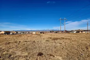 1467 W Plaza De Los Leones Dr, Pueblo West, CO 81007 - Photo 30