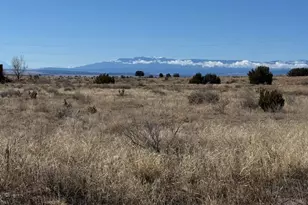 257 E Hastings Ave, Pueblo West, CO 81007 - Photo 1