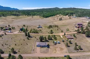 1014 Elfin Glen Dr, Divide, CO 80814 - Photo 4