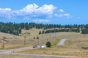1014 Elfin Glen Dr, Divide, CO 80814 - Photo 38