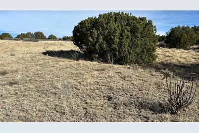 Lot 122 Ghost River Ranch, Rye, CO 81069 - Photo 12